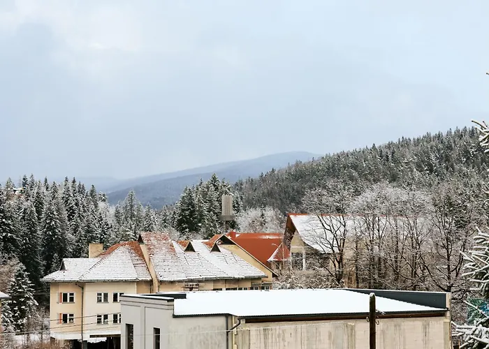 цекіт